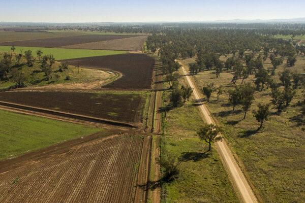 From Soil Health to Animal Welfare: Holistic Pasture Management